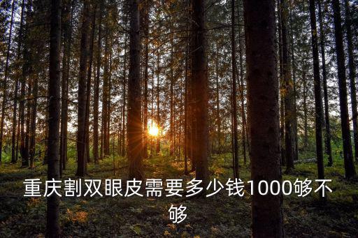 重慶割雙眼皮需要多少錢1000夠不夠