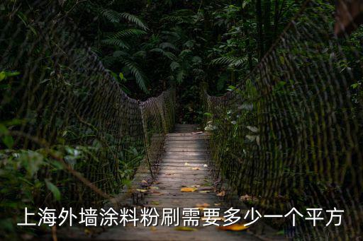 上海市涂料標(biāo)準(zhǔn)，上海外墻涂料粉刷需要多少一個平方
