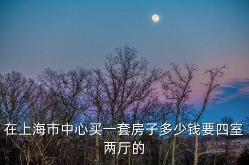 現在上海市中心房子多少錢，上海房子多少錢一平方學區房更貴嘛
