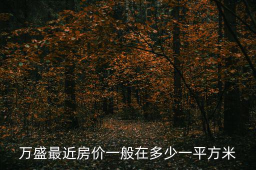 萬盛最近房價一般在多少一平方米