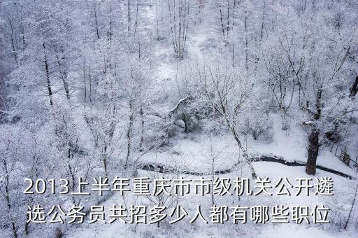 2013上半年重慶市市級機關公開遴選公務員共招多少人都有哪些職位