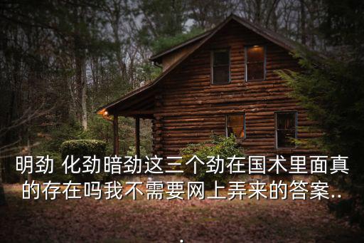 明勁 化勁暗勁這三個勁在國術里面真的存在嗎我不需要網上弄來的答案...