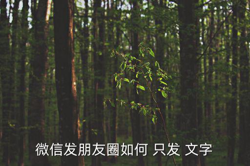朋友圈如何只發文字
