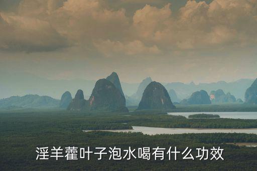  淫羊藿葉子泡水喝有什么功效