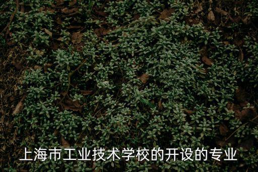 上海市工業(yè)技術(shù)學(xué)校的開設(shè)的專業(yè)