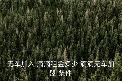 滴滴車(chē)主加盟條件