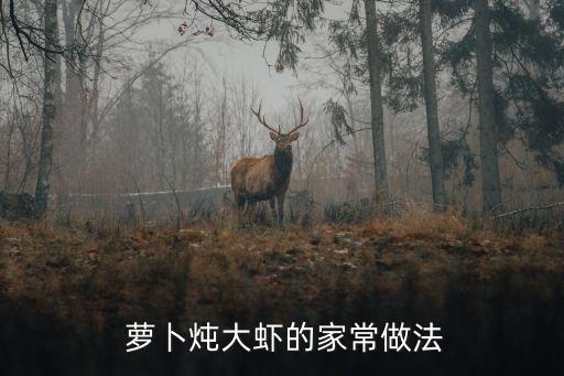  蘿卜燉大蝦的家常做法