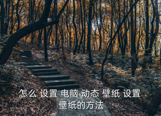 電腦怎么設置動態壁紙