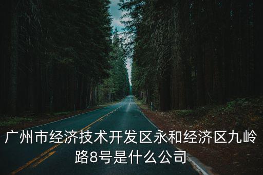 廣州市經濟技術開發區永和經濟區九嶺路8號是什么公司