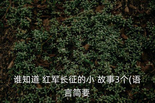 誰(shuí)知道 紅軍長(zhǎng)征的小 故事3個(gè)(語(yǔ)言簡(jiǎn)要