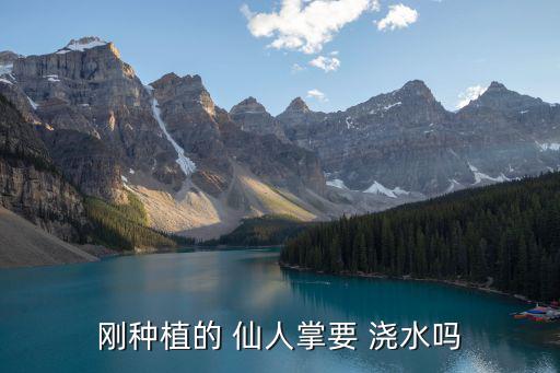 仙人掌需要澆水嗎,仙人掌需要澆水嗎?答案出在哪?