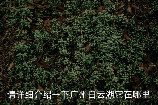 廣州白云白云湖介紹，白云湖在廣州哪里