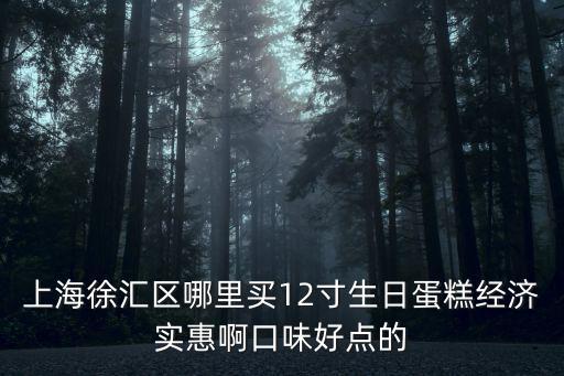 上海徐匯區(qū)哪里買(mǎi)12寸生日蛋糕經(jīng)濟(jì)實(shí)惠啊口味好點(diǎn)的