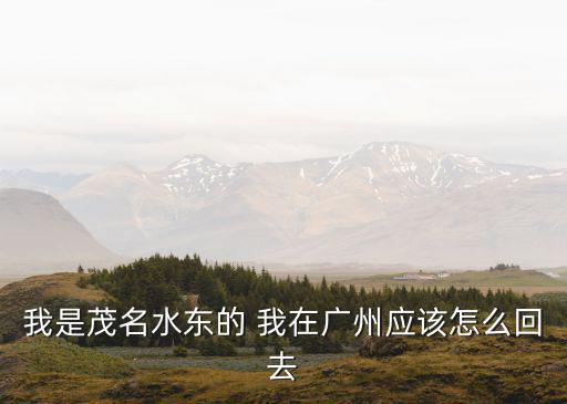 其詩聞是怎么回到廣州的，上海坐飛機回到廣州需要多少個小時