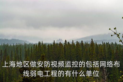上海地區做安防視頻監控的包括網絡布線弱電工程的有什么單位
