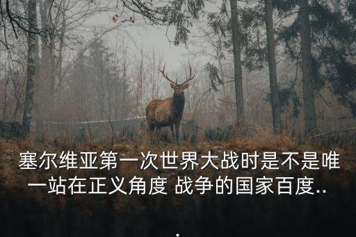  塞爾維亞第一次世界大戰(zhàn)時是不是唯一站在正義角度 戰(zhàn)爭的國家百度...