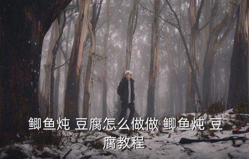  鯽魚燉 豆腐怎么做做 鯽魚燉 豆腐教程