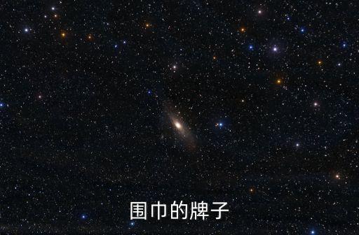 圍巾的牌子