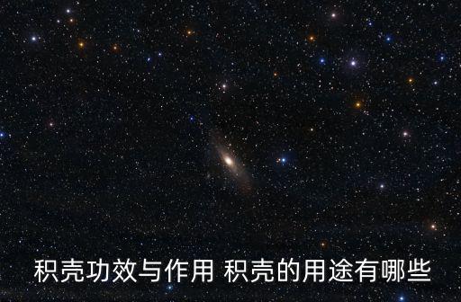  積殼功效與作用 積殼的用途有哪些