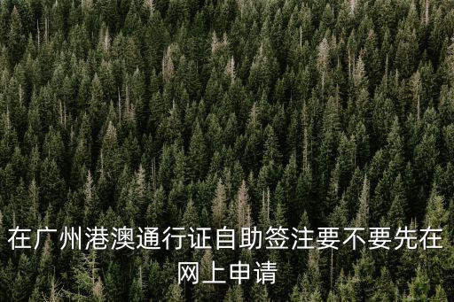 在廣州港澳通行證自助簽注要不要先在網上申請
