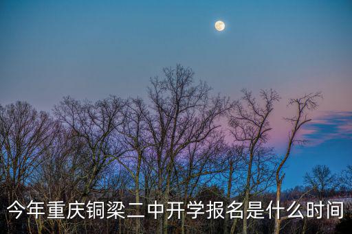 重慶市銅梁二中籃球，重慶哪里有學街頭籃球的地方