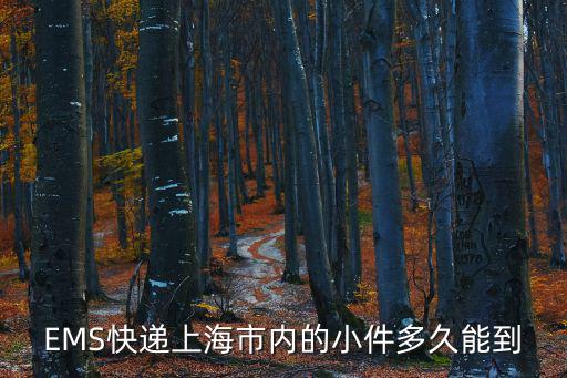 EMS快遞上海市內的小件多久能到