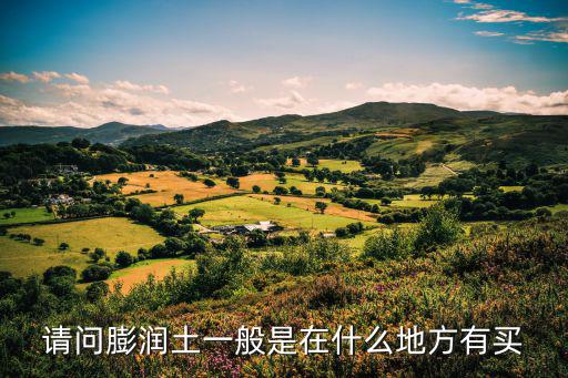 請問膨潤土一般是在什么地方有買