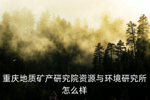 重慶地質(zhì)礦產(chǎn)研究院資源與環(huán)境研究所怎么樣