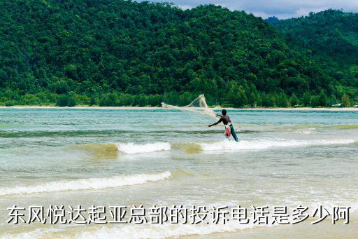 東風悅達起亞總部的投訴電話是多少阿