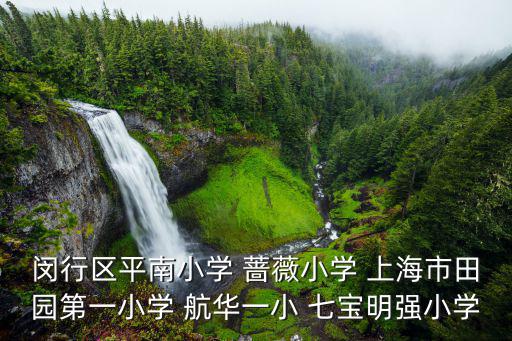 閔行區(qū)平南小學(xué) 薔薇小學(xué) 上海市田園第一小學(xué) 航華一小 七寶明強小學(xué)