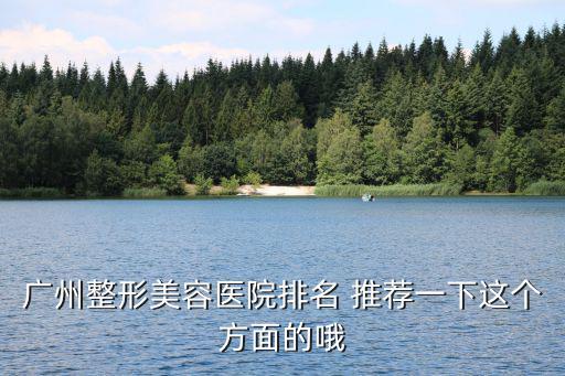 廣州整形美容醫(yī)院排名 推薦一下這個方面的哦