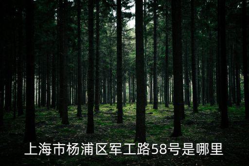 上海市楊浦區(qū)軍工路58號(hào)是哪里