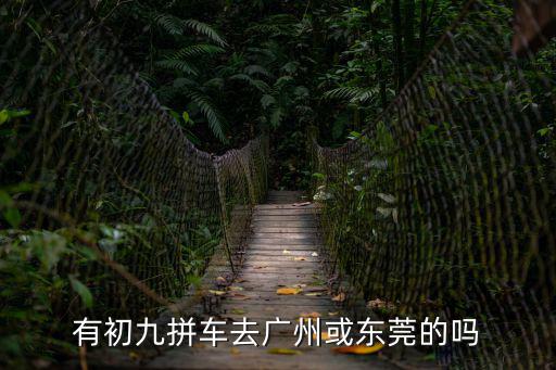 有初九拼車去廣州或東莞的嗎
