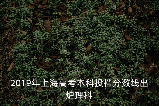 2019年上海高考本科投檔分數線出爐理科