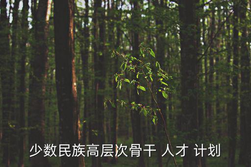 少數民族高層次骨干 人才 計劃