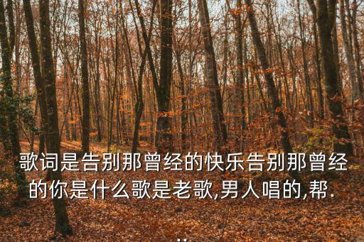  歌詞是告別那曾經的快樂告別那曾經的你是什么歌是老歌,男人唱的,幫...