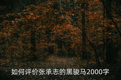 如何評價上海市涇南中學，如何評價張承志的黑駿馬2000字