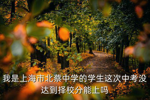 上海市北蔡中學鵬飛校區校長，海中校長是誰