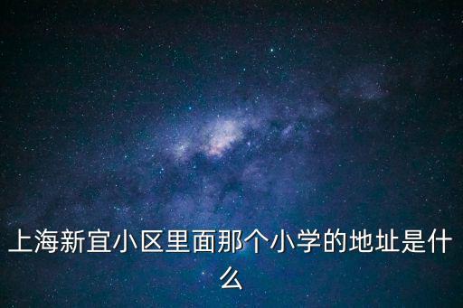 上海新宜小區里面那個小學的地址是什么