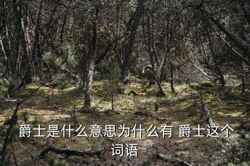  爵士是什么意思為什么有 爵士這個詞語