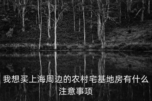 我想買上海周邊的農村宅基地房有什么注意事項
