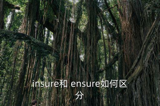ensure,英語單詞:專注是指在思想上消除疑慮或憂慮