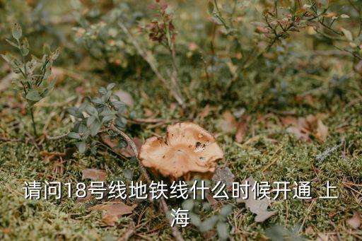 請問18號線地鐵線什么時候開通 上海