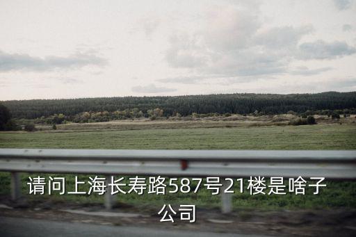 請問上海長壽路587號21樓是啥子公司