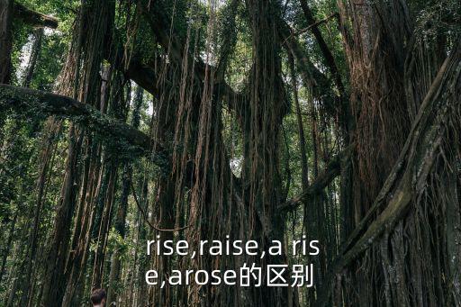 rise英語,rise和arise的意思差別