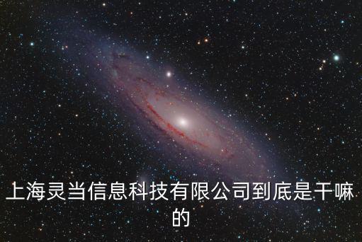 上海市靈蓄信息科技有限公司，TQ洽談通上海代理商是哪個公司