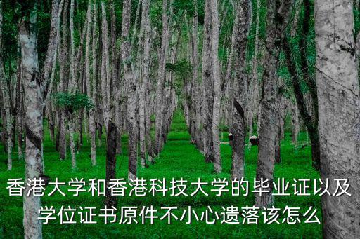 香港大學和香港科技大學的畢業證以及學位證書原件不小心遺落該怎么
