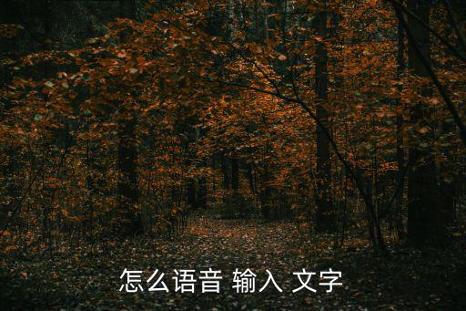 點擊輸入文字,點擊這里的聲音輸入即可添加語音文字；