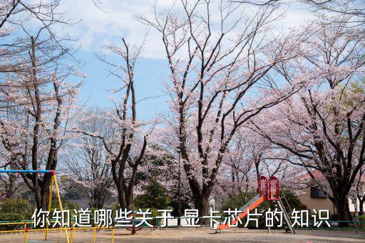 顯卡知識,ng92卡比4卡好首先看核心代碼