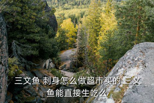 三文魚刺身怎么吃,三文魚刺身:一文魚柳切成4厚片放冰塊